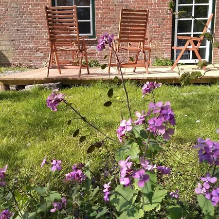 Roehe By Interhome Διαμέρισμα *